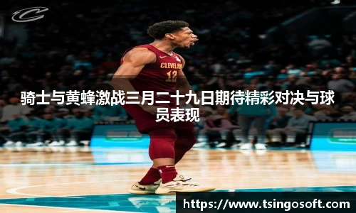 球速体育登录入口
